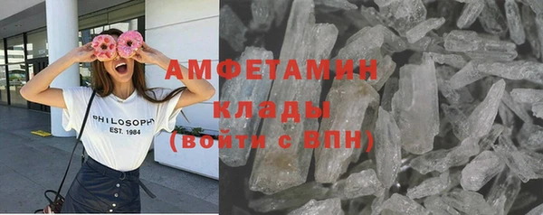ПСИЛОЦИБИНОВЫЕ ГРИБЫ Магас