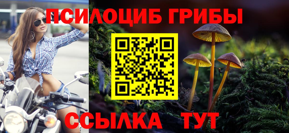Галлюциногенные грибы Cubensis  Маркс 